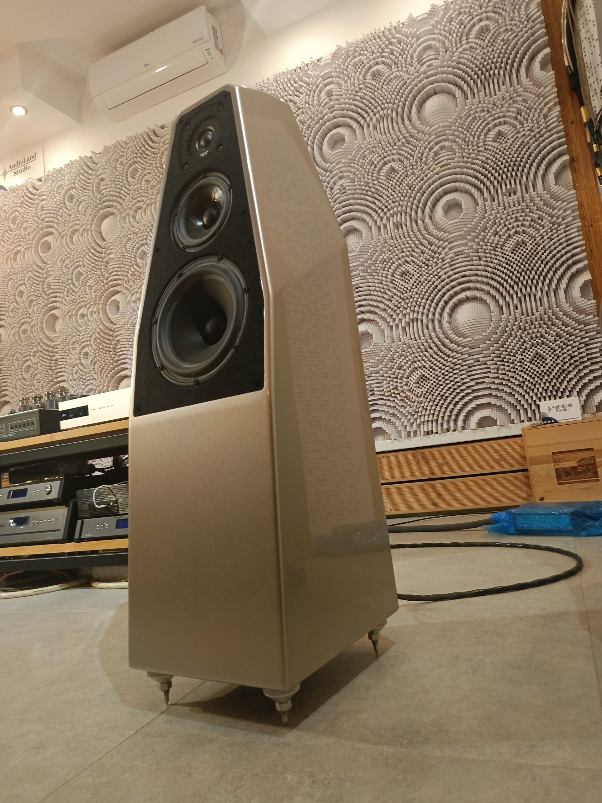 Kolumny podłogowe Sabrina X to 3-drożna konstrukcja z tylnym bass reflexem, otwierająca ofertę modeli podłogowych. Obudowę wykonano z kompozytu X znanego z flagowego Chronosonica, co zapewnia wysoką sztywność i minimalizację rezonansów. Pasmo przenoszenia wynosi 31 Hz–23 kHz, a minimalna zalecana moc wzmacniacza to 50 W. Skuteczność kolumn to 87 dB przy impedancji 4 Ω. Każda kolumna waży 50,8 kg, co podkreśla solidność konstrukcji.